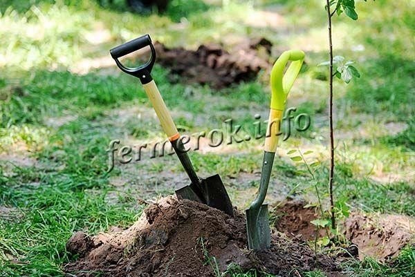 Fiskars лопата garden spade