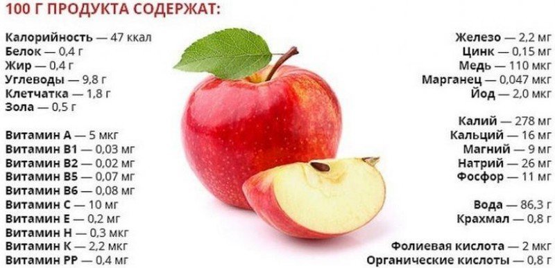 Плод яблоко