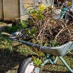 Нужно ли убирать растительные остатки из сада и огорода осенью?