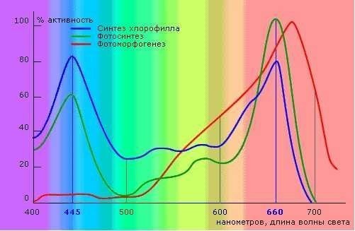 Спектр света для фотосинтеза растений