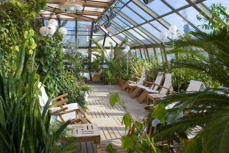 Оранжерея ботанического сада томск