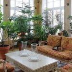 Зимний сад в доме: идеи оформления, правила обустройства и советы по выбору растений для зимнего сада