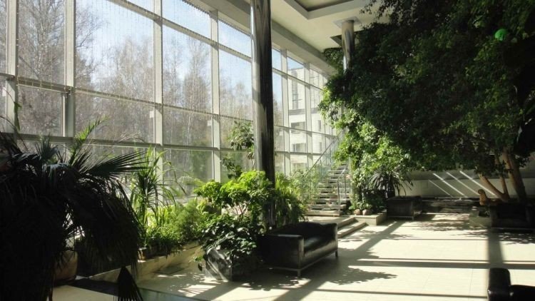 Железноводск зимний сад в санатории горный воздух