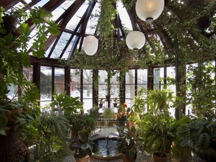 «зимний сад» оранжерея пэкстон