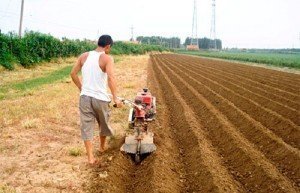 Нарезка гребней для посадки картофеля культиватором