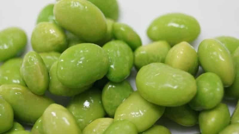 Зеленые бобы эдамаме