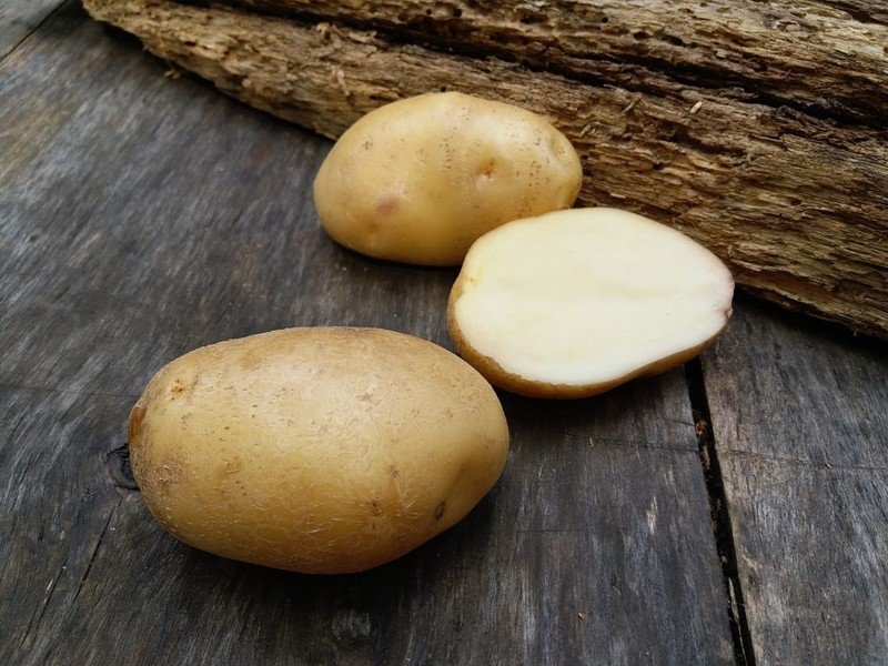Семенной картофель
