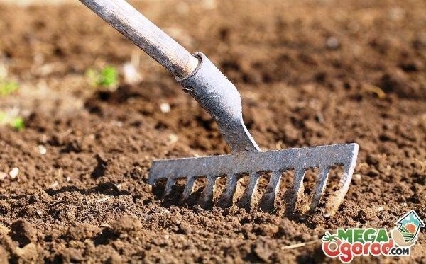 Подготовка почвы к посеву ручными инструментами