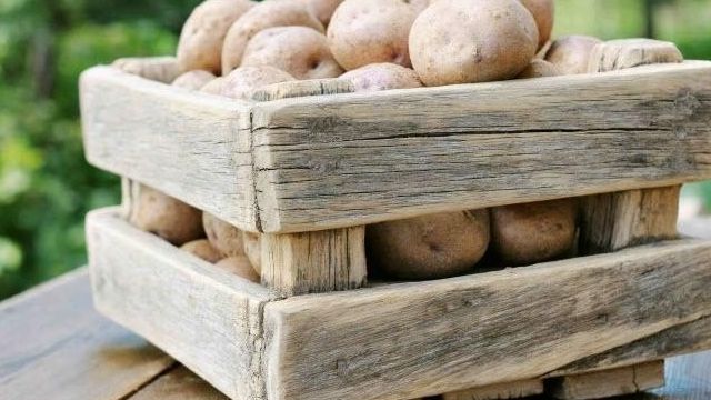 Картофель голубизна — описание сорта, характеристика, фото Русский фермер