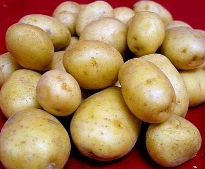 Сорт картофеля бельмондо