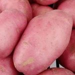 Подробная характеристика картофеля «Дезире» — его происхождение, описание сорта и наглядные фото