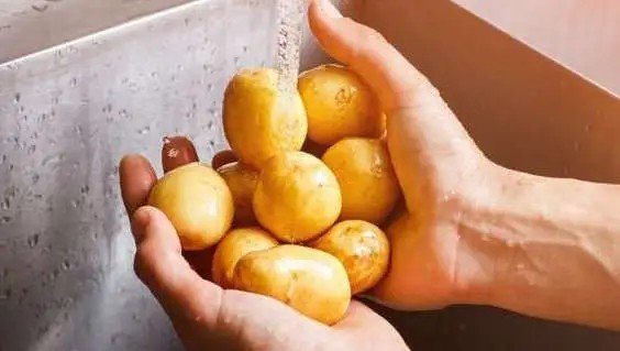 Сорт картофеля гала