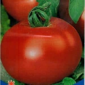 Кировские семена томатов агросемтомс