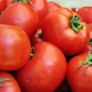 Сорт помидор ля ля фа