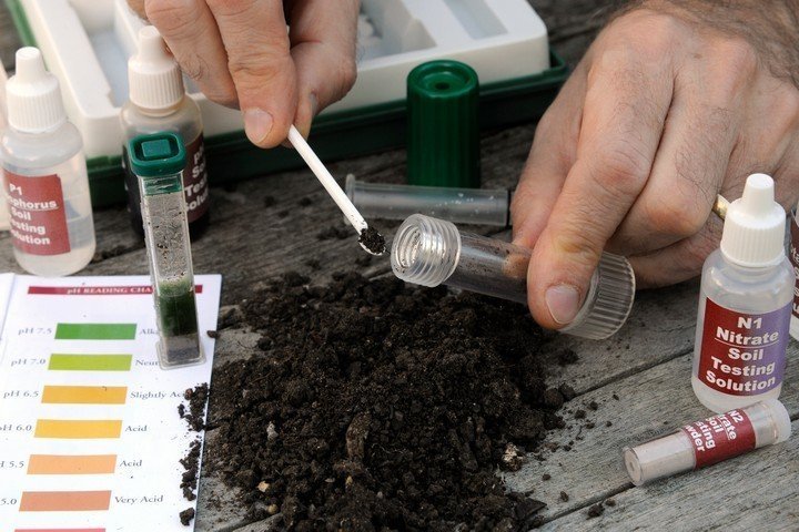 Исследование кислотности почвы