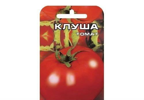 Характеристика томатов клуша