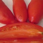 Сорт томатов сибирской селекции, дающий отличный урожай в теплице