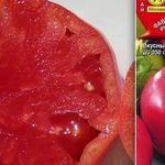 Стабильный в урожайности и устойчивый к болезням томат «Сахарный бизон»