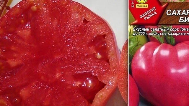 Стабильный в урожайности и устойчивый к болезням томат «Сахарный бизон»