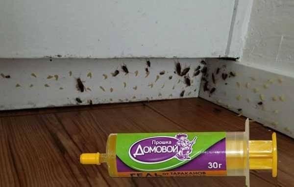 Средства от тараканов в квартире