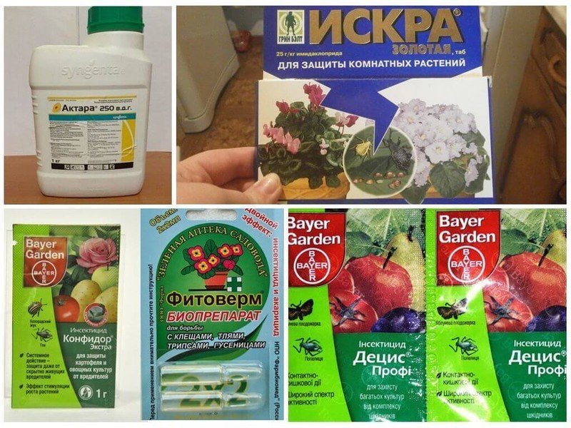 Биопрепараты для защиты растений от вредителей и болезней
