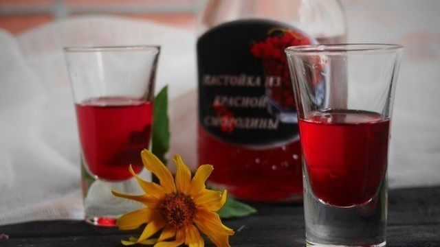 Настойка из красной смородины на водке (спирту, самогоне) в домашних условиях по простому рецепту