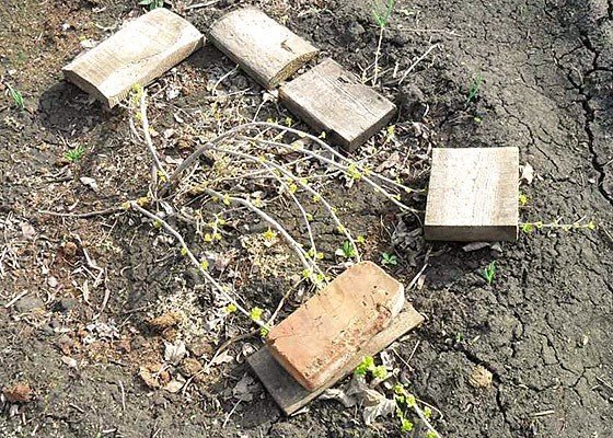 Киев разломанная могила неизвестного солдата