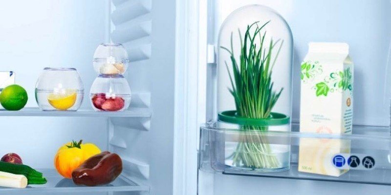 Контейнер для хранения зелени в холодильнике тескома