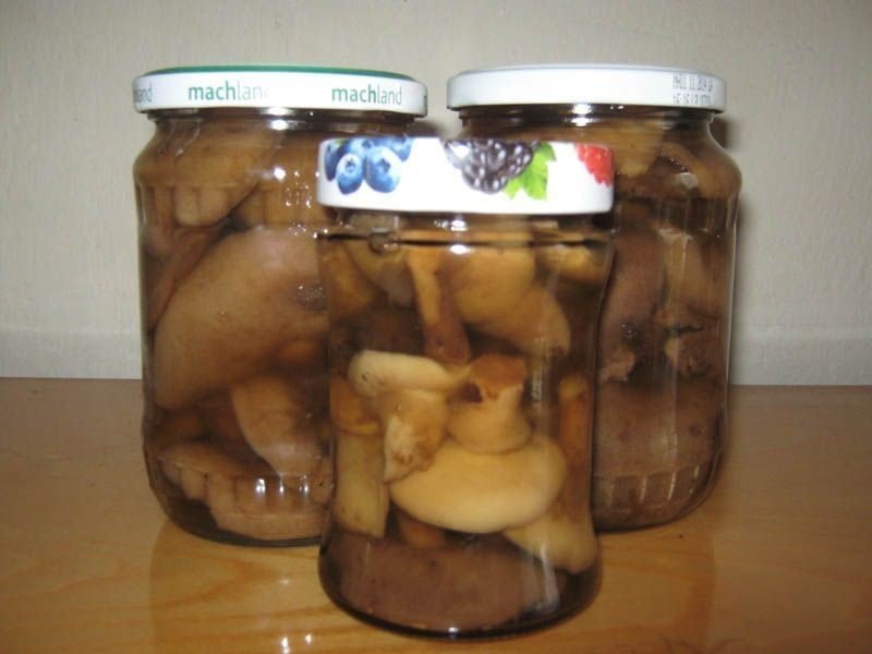 Консервирование валуи грибы