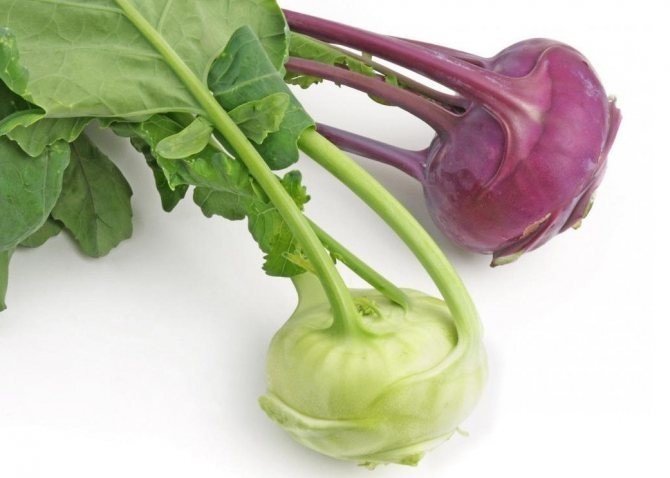 Полезные свойства овощей
